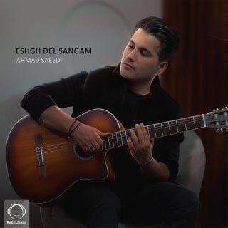 کاور آهنگ عشق دل سنگم