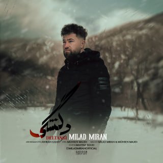 کاور آهنگ دلتنگی
