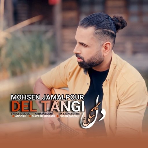 کاور آهنگ دلتنگی