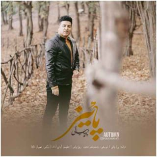 کاور آهنگ پاییز